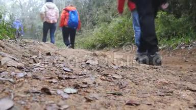 一群多种族徒步旅行者沿着森林小径行走。 带背包的游客徒步穿越树林